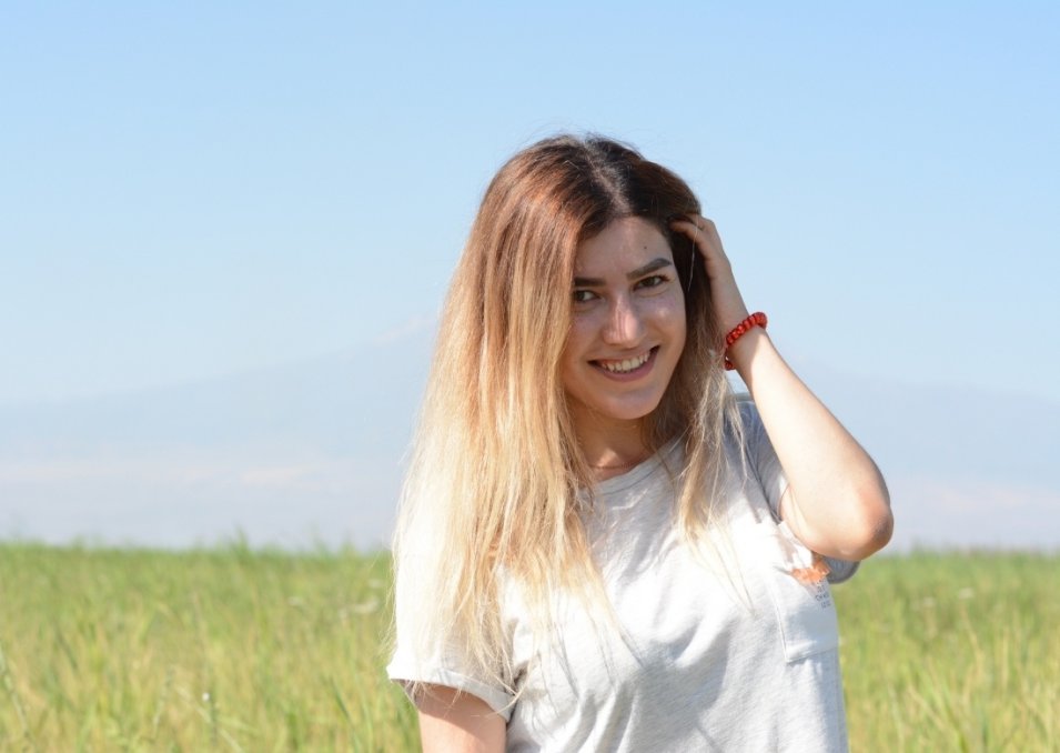 blog inner top